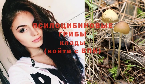 дурь Зеленодольск