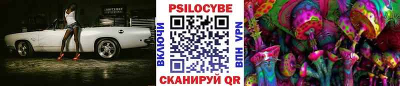 Галлюциногенные грибы Psilocybe  Купить закладки  Суровикино 